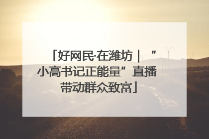 好网民·在潍坊｜“小高书记正能量”直播 带动群众致富