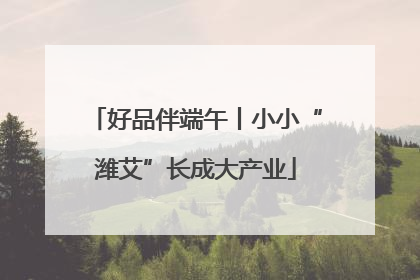 好品伴端午丨小小“潍艾”长成大产业