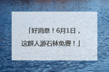 好消息！6月1日，这群人游石林免费！