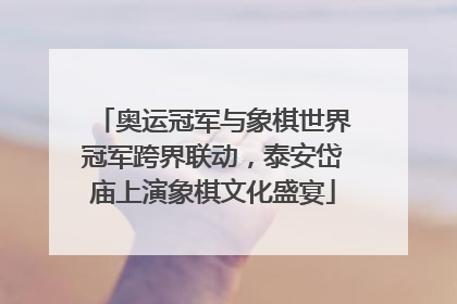 奥运冠军与象棋世界冠军跨界联动，泰安岱庙上演象棋文化盛宴