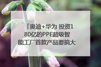 奥迪+华为 投资180亿的PPE超级智能工厂首款产品要搞大事情？｜粤港澳车展