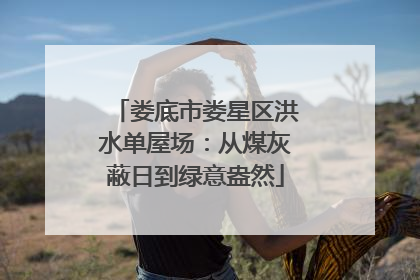 娄底市娄星区洪水单屋场：从煤灰蔽日到绿意盎然