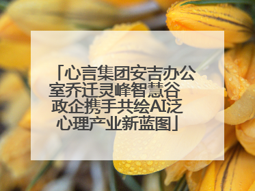 心言集团安吉办公室乔迁灵峰智慧谷 政企携手共绘AI泛心理产业新蓝图