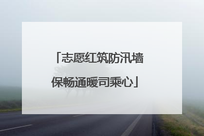 志愿红筑防汛墙 保畅通暖司乘心