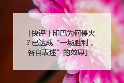 快评｜印巴为何停火？已达成“一场胜利，各自表述”的效果