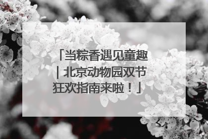 当粽香遇见童趣｜北京动物园双节狂欢指南来啦！