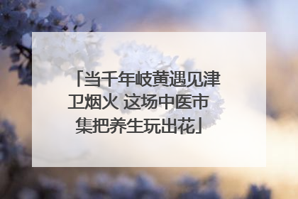 当千年岐黄遇见津卫烟火 这场中医市集把养生玩出花