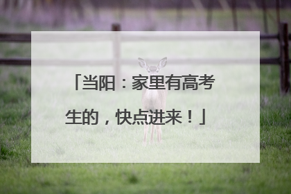 当阳：家里有高考生的，快点进来！