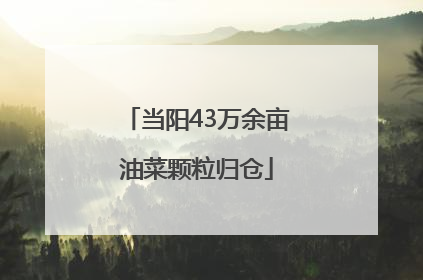当阳43万余亩油菜颗粒归仓