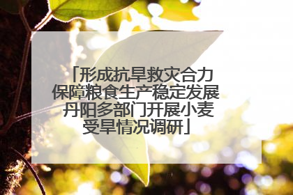 形成抗旱救灾合力 保障粮食生产稳定发展 丹阳多部门开展小麦受旱情况调研