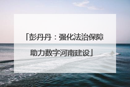 彭丹丹：强化法治保障 助力数字河南建设