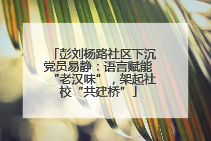 彭刘杨路社区下沉党员易静：语言赋能“老汉味”，架起社校“共建桥”