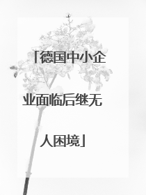 德国中小企业面临后继无人困境
