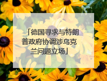 德国寻求与特朗普政府协调涉乌克兰问题立场