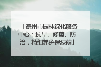 德州市园林绿化服务中心：抗旱、修剪、防治，精细养护保绿荫