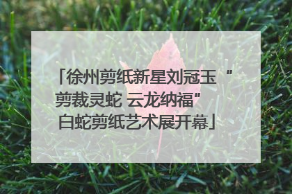 徐州剪纸新星刘冠玉“剪裁灵蛇 云龙纳福” 白蛇剪纸艺术展开幕