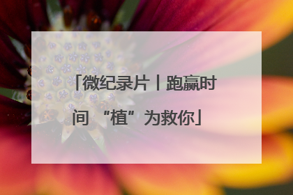 微纪录片丨跑赢时间 “植”为救你