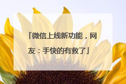 微信上线新功能，网友：手快的有救了