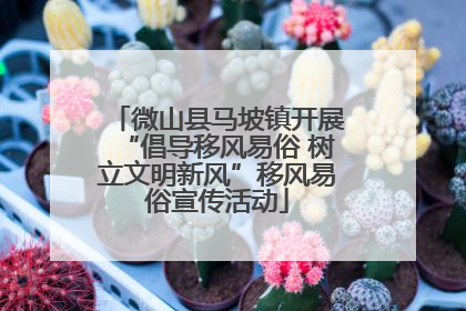 微山县马坡镇开展“倡导移风易俗 树立文明新风”移风易俗宣传活动
