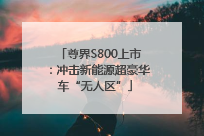 尊界S800上市：冲击新能源超豪华车“无人区”