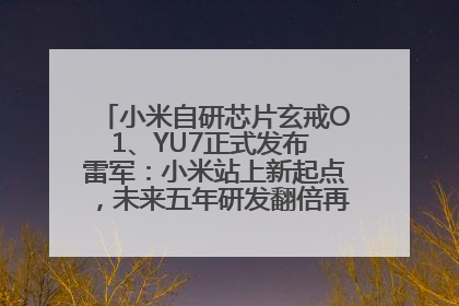 小米自研芯片玄戒O1、YU7正式发布 雷军：小米站上新起点，未来五年研发翻倍再投2000亿元