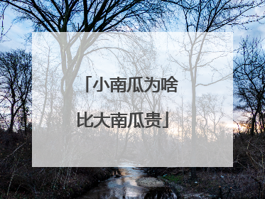 小南瓜为啥比大南瓜贵