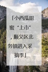 小西瓜甜蜜“上市”，顺义区北务镇进入采摘季