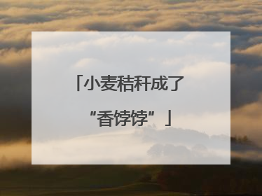 小麦秸秆成了“香饽饽”