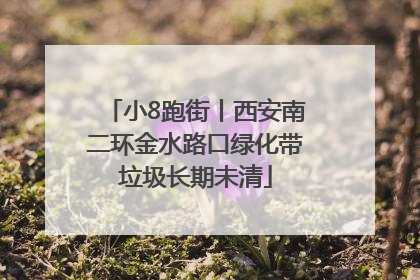 小8跑街丨西安南二环金水路口绿化带垃圾长期未清