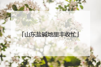 山东盐碱地里丰收忙