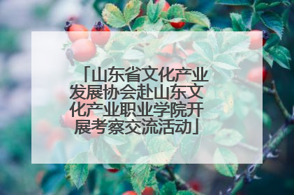 山东省文化产业发展协会赴山东文化产业职业学院开展考察交流活动