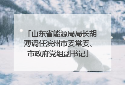山东省能源局局长胡薄调任滨州市委常委、市政府党组副书记