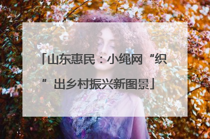 山东惠民：小绳网“织”出乡村振兴新图景