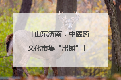 山东济南：中医药文化市集“出摊”