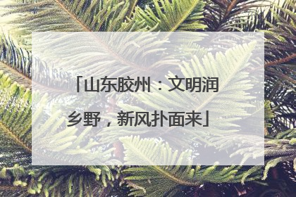 山东胶州：文明润乡野，新风扑面来