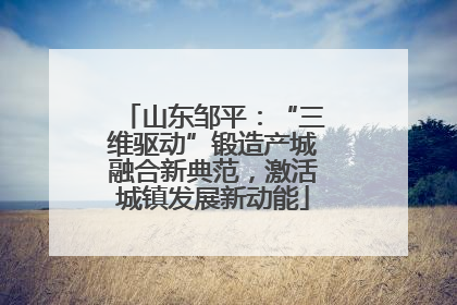 山东邹平：“三维驱动”锻造产城融合新典范，激活城镇发展新动能