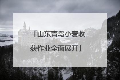 山东青岛小麦收获作业全面展开