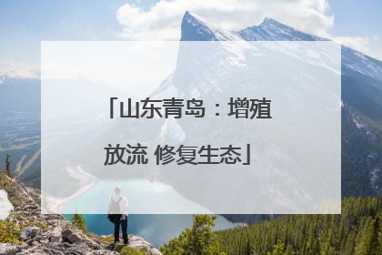 山东青岛：增殖放流 修复生态