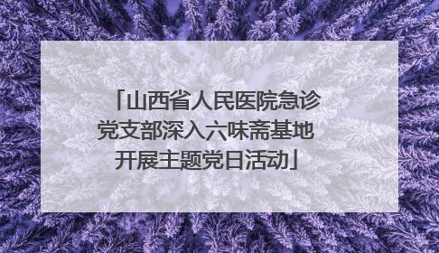 山西省人民医院急诊党支部深入六味斋基地开展主题党日活动
