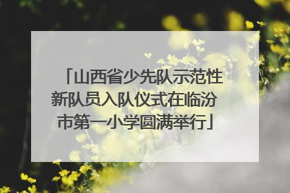 山西省少先队示范性新队员入队仪式在临汾市第一小学圆满举行
