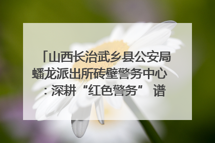 山西长治武乡县公安局蟠龙派出所砖壁警务中心：深耕“红色警务” 谱写“平安答卷”