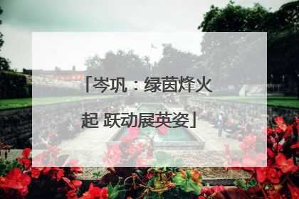 岑巩：绿茵烽火起 跃动展英姿