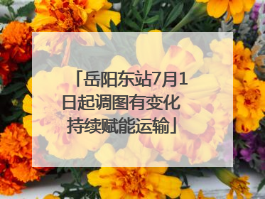 岳阳东站7月1日起调图有变化 持续赋能运输