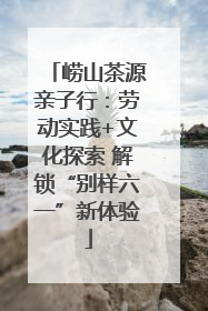 崂山茶源亲子行：劳动实践+文化探索 解锁“别样六一”新体验