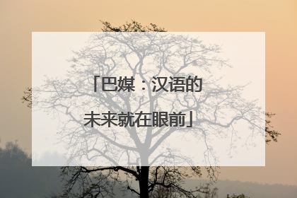 巴媒：汉语的未来就在眼前