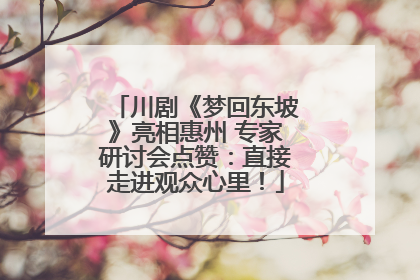 川剧《梦回东坡》亮相惠州 专家研讨会点赞：直接走进观众心里！