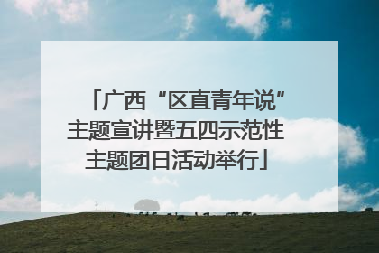 广西“区直青年说”主题宣讲暨五四示范性主题团日活动举行