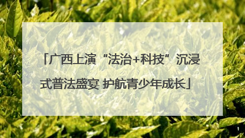 广西上演“法治+科技”沉浸式普法盛宴 护航青少年成长
