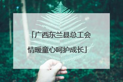 广西东兰县总工会情暖童心呵护成长