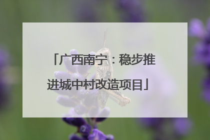 广西南宁：稳步推进城中村改造项目